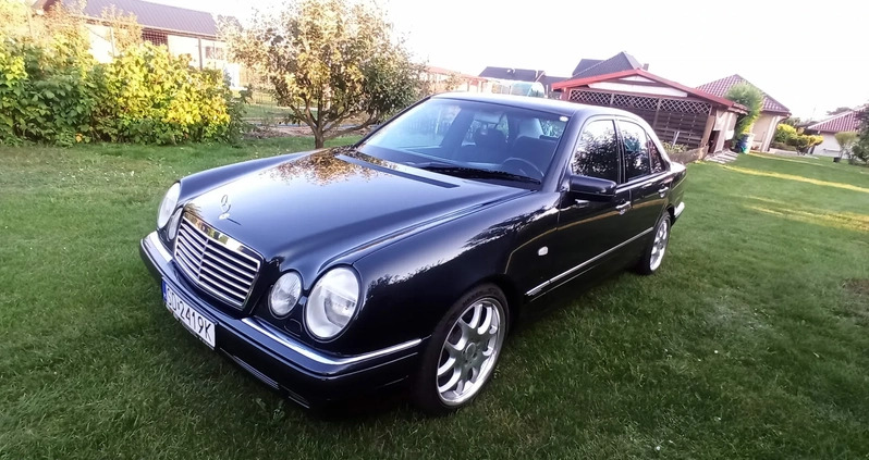 Mercedes-Benz Klasa E cena 29990 przebieg: 256352, rok produkcji 1998 z Jastrzębie-Zdrój małe 277